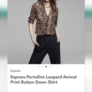 Express Animal Print Blouse - Black & Brown